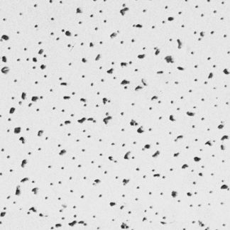 2 x 2 ft Acoustic Ceiling Panels (Radar) 5/8 thick item 2220 feet
