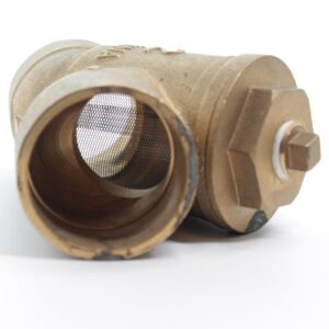 Brass Wye Strainer 2"