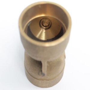 Brass Wye Strainer 2"