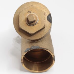 Brass Wye Strainer 2"