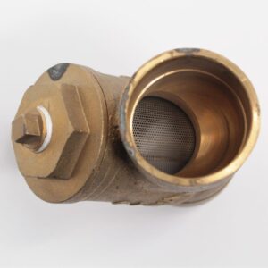 Brass Wye Strainer 2"