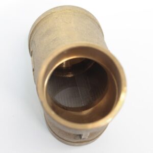 Brass Wye Strainer 2"