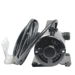 Everbilt 115V 60Hz 1/10 Hp Non-Submersible Self-Priming Transfer Pump 1004181634