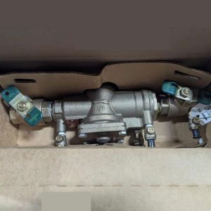 Watts - 1'' LF009M2-QT-S Reduced Pressure Zone Backflow Preventer